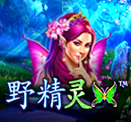 野精灵
